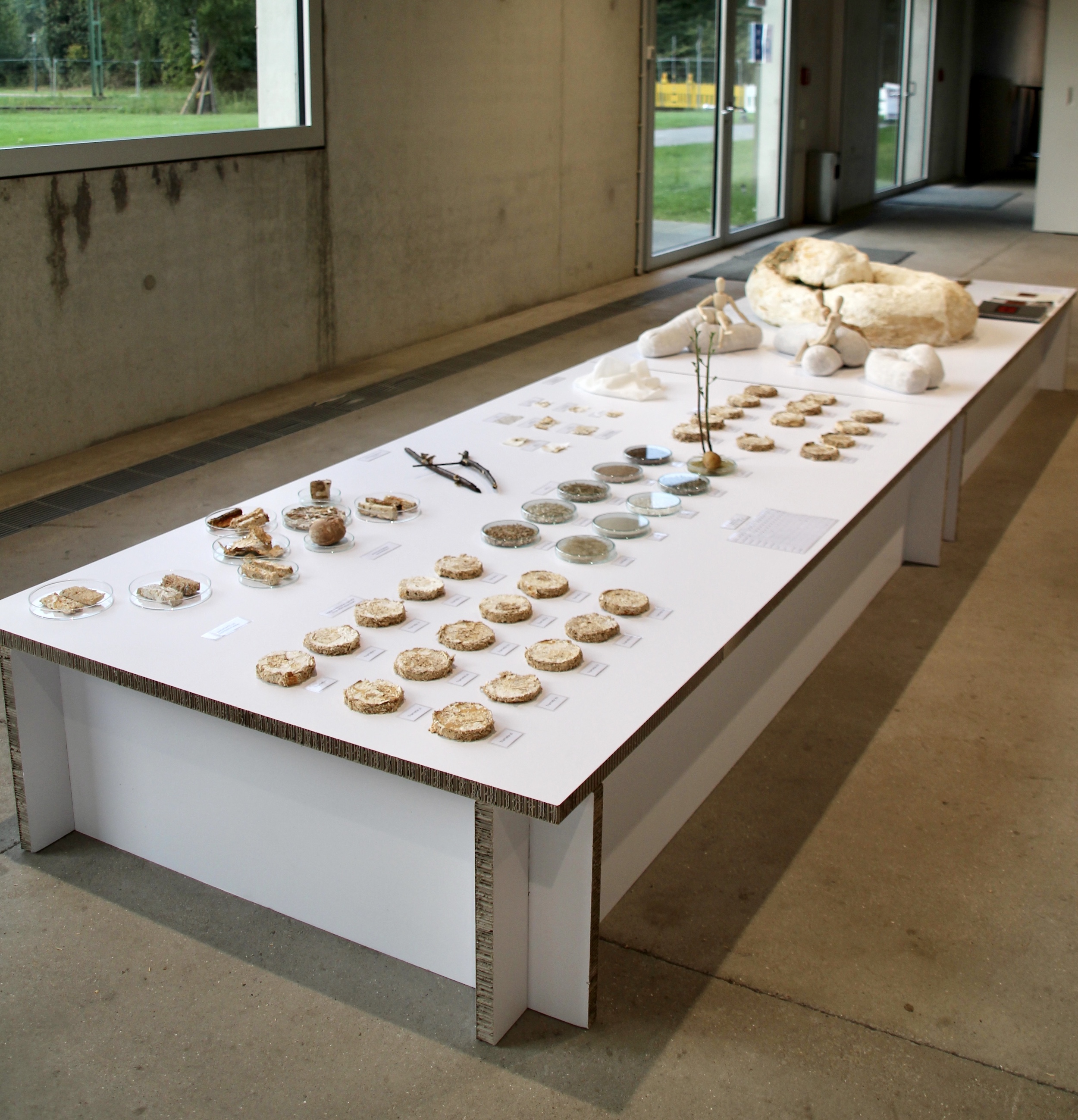 Folkwang Finale 2021